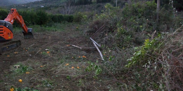 Ripristino Terreni abbandonati a Cefalù | Lascari