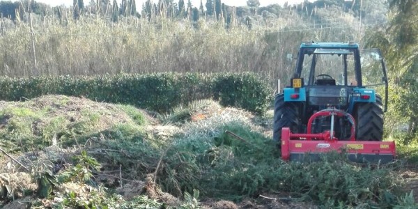 Pulitura terreni e lavori agricoli-Cefalù | Lascari
